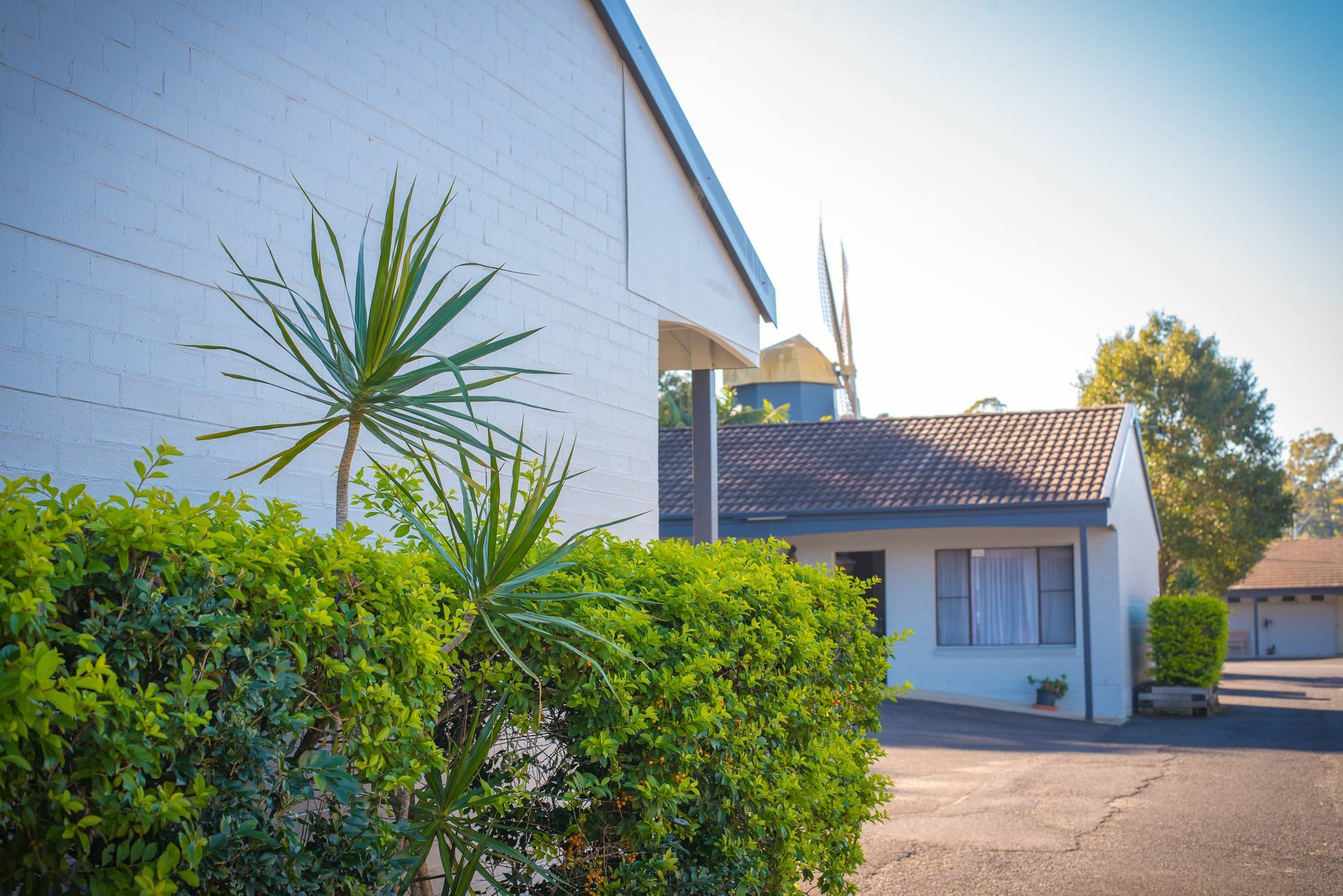 Motel Coffs Windmill 3*